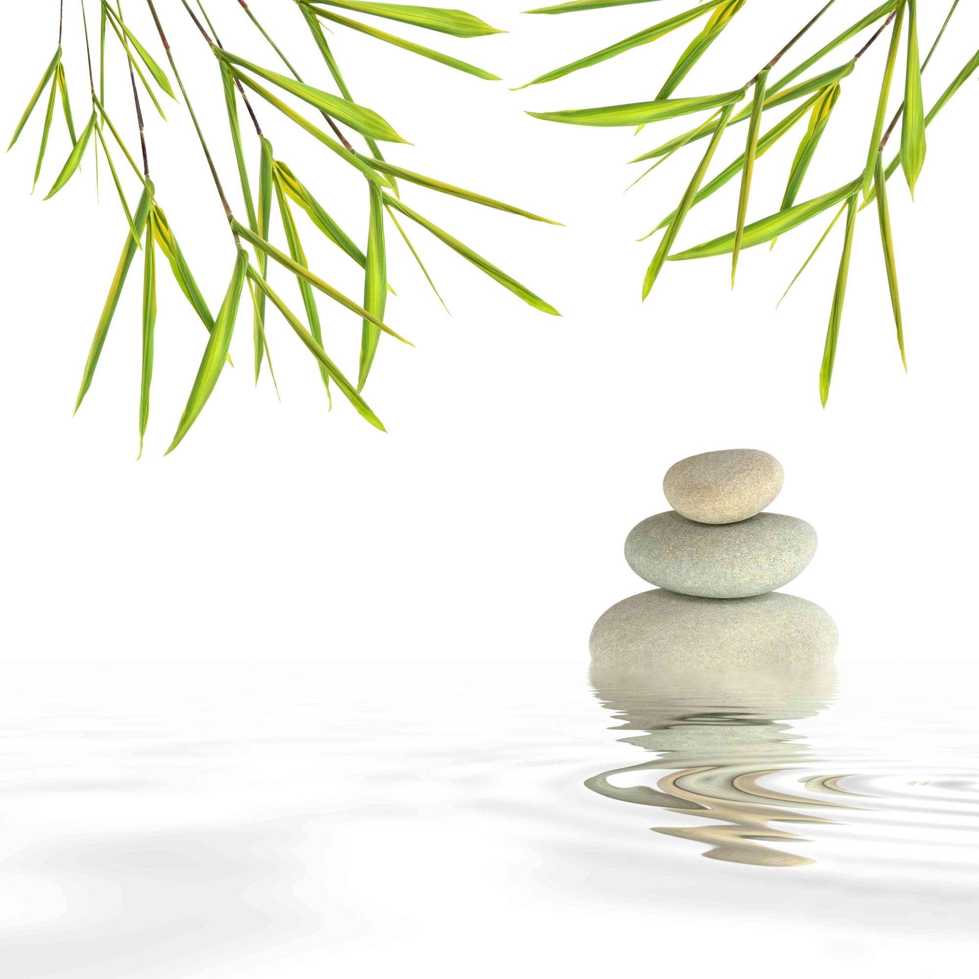 bigstock-Zen-Garden-4510649-c-r